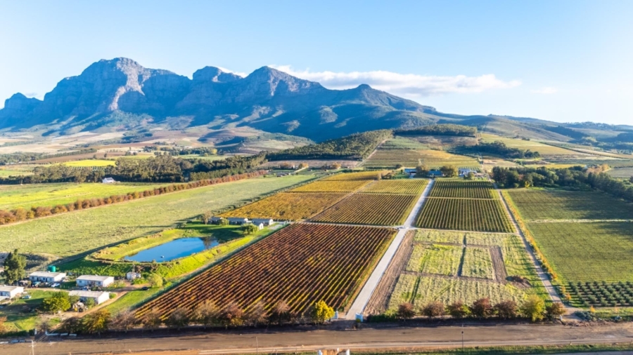 Commercial Property for Sale in Paarl Rural Western Cape